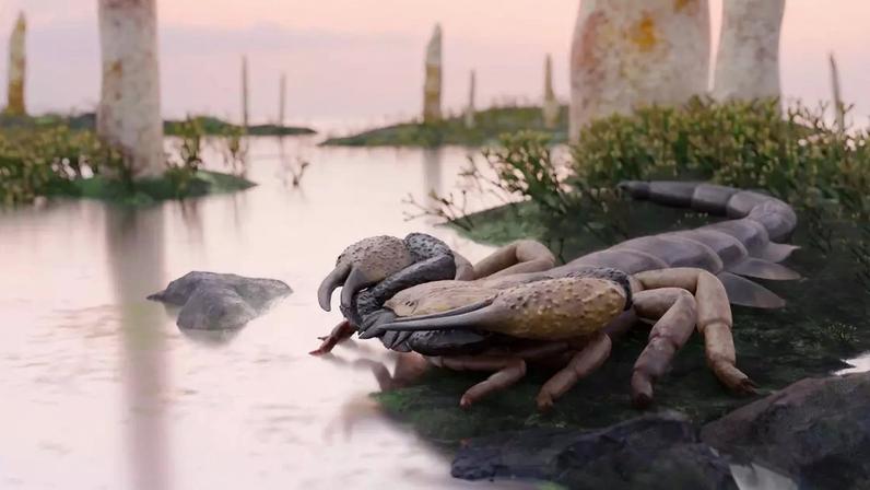Nova pesquisa revela que o maior escorpião da história da humanidade é o Praearcturus gigas, que tinha mais de um metro de comprimento