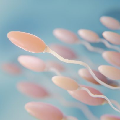 Torneio de corrida de espermatozoides premia vencedor com R$ 517 mil