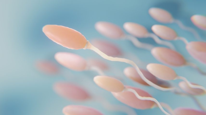 Imagem colorida de espermatozóides