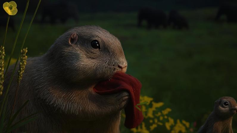 Mesmo que isso não seja comum hoje em dia, esquilos pré-históricos tinham o costume de se alimentar da carcaça de diferentes animais da era glacial do Pleistoceno