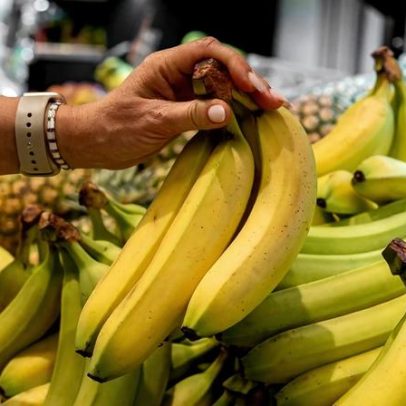 EUA propõem tarifa de 12,5% com exceção para alimentos e minérios