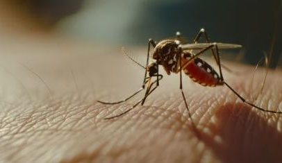 Sexta vítima de febre amarela em SP leva SES a alerta de vacinação