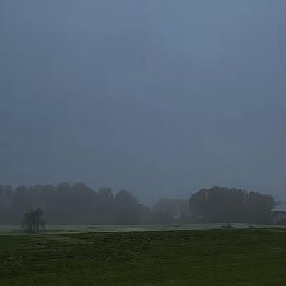 Neblina abriga microrganismos que ajudam a limpar a atmosfera, aponta estudo