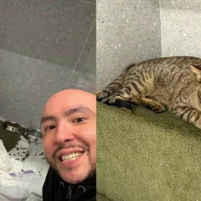 Gato resgatado no Metrô de SP é adotado e ganha nome da estação