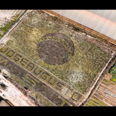 MG: agricultor faz bandeira com alface para torcer pelo hexa