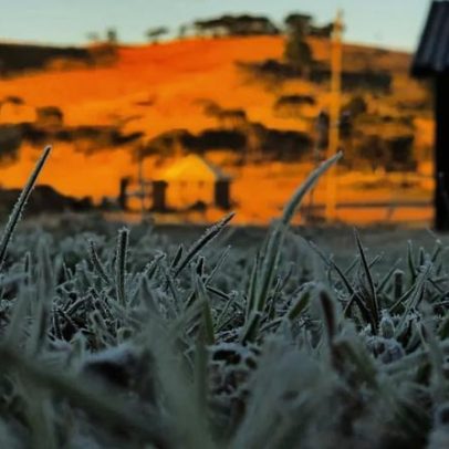SC registra frio histórico com geada generalizada prevista a -5°C