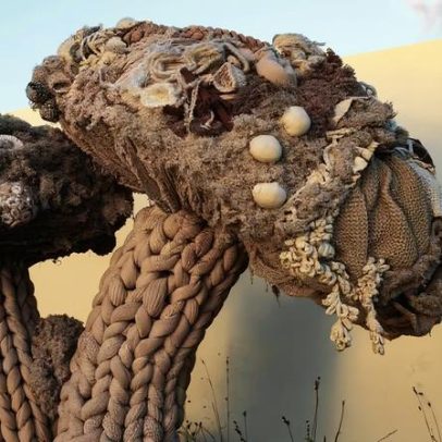 Mostra imersiva Natureza Tecida inaugura no Mata Lab