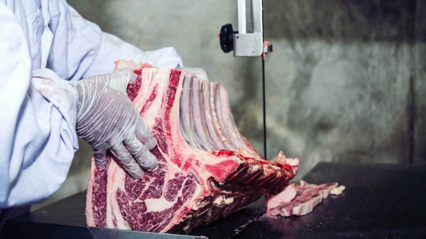 Carne bovina sendo processada em frigorífico brasileiro.