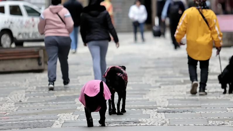 São Paulo (SP), 12/06/2025 - Pessoas caminham durante frio e baixa temperatura na capital paulista. Foto: Paulo Pinto/Agência Brasil