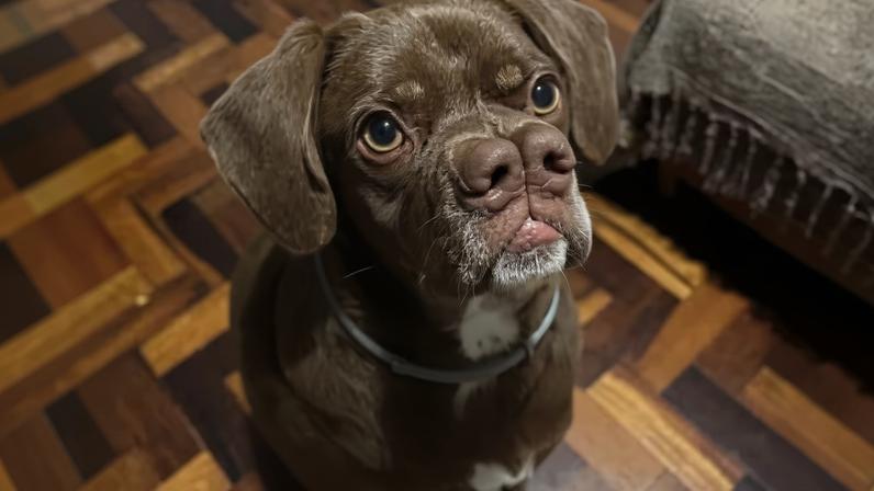 Chico tem 'dois narizes' devido a condição genética semelhante à que causa fenda palatina — Foto: Reprodução/Instagram