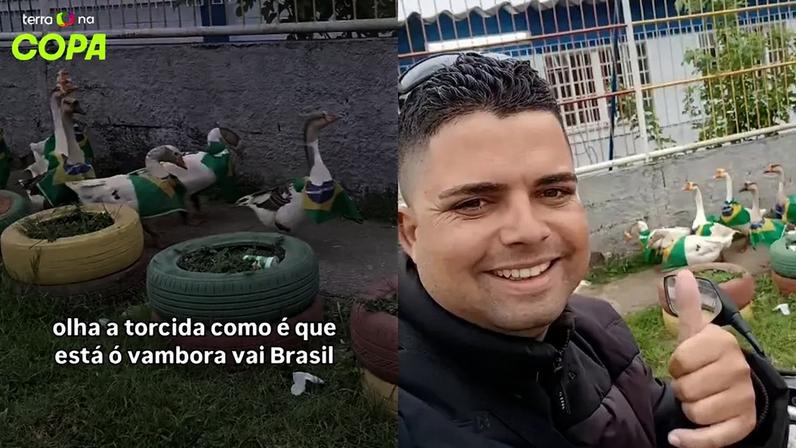 Grupo de gansos com bandeiras do Brasil viraliza após desfile em bairro do Rio