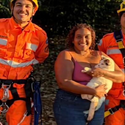 Gato sobe em árvore alta em MG e mobiliza bombeiros
