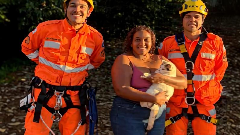“Pss-pss”: gato sobe em árvore alta em MG e dá trabalho aos bombeiros