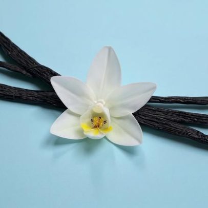 Dark Vanilla: por que a baunilha é o ingrediente mais sofisticado na perfumaria