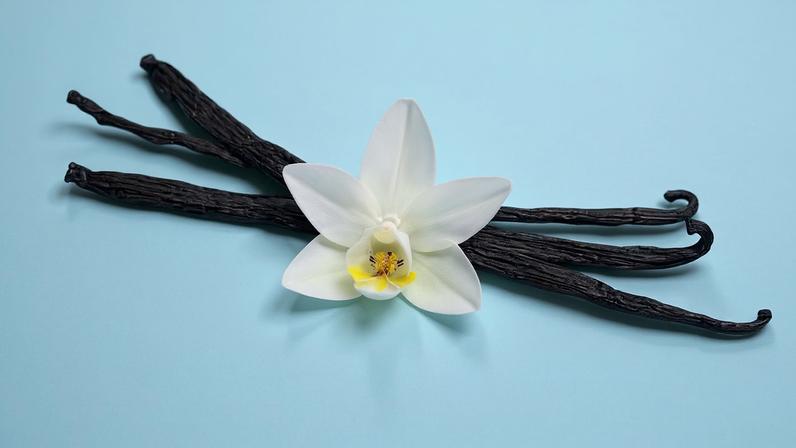 A era da Dark Vanilla: por que a baunilha se tornou o ingrediente mais sofisticado da perfumaria — Foto: Getty Images