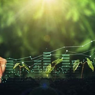 Dia Mundial do Meio Ambiente: adaptação climática é ROI essencial para empresas
