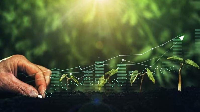 Ilustração remete a dinheiro, investimento verde, sustentabilidade, negócios — Foto: Getty Images