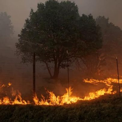 Apesar da agenda pró-fósseis de Trump, maioria apoia ação climática