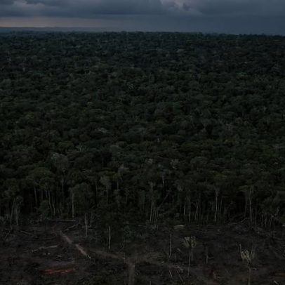 Dados derrubam mito: desmatamento não gera desenvolvimento