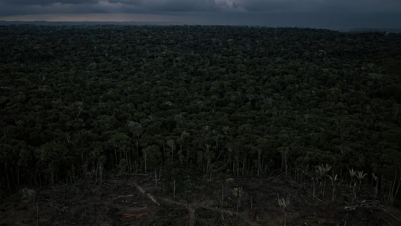 Desmatamento na Amazônia — Foto: Getty Images