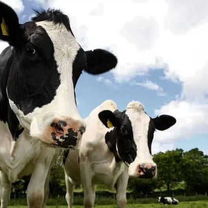 Cidades amazônicas defendem inclusão de sistemas alimentares no debate climático