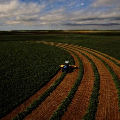 El Niño movimenta ações do agro na bolsa: quem pode lucrar ou perder