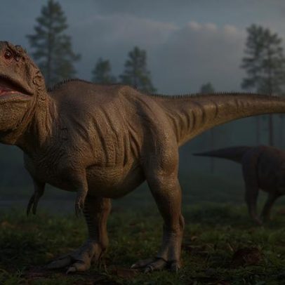 Rei dos dinossauros pode ter levado mais tempo para crescer