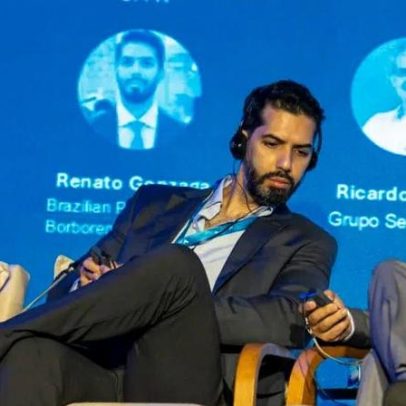 PL dos minerais pode isolar o Brasil, diz Brazilian Rare Earths