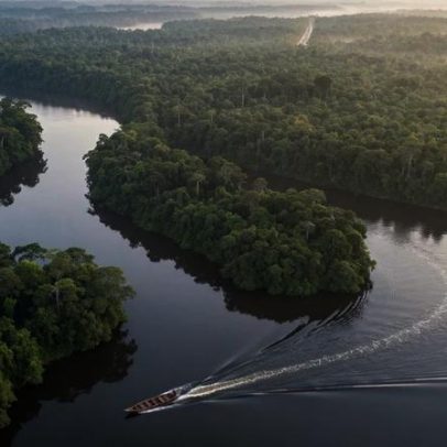 Governo autoriza uso da Força Nacional na Amazônia Legal por 90 dias
