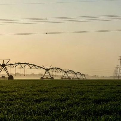 Governo define regras para desconto na conta de luz de produtores rurais