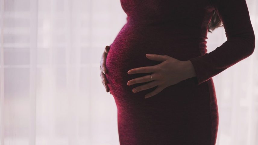 Grávida Gravidez adolescência adolescente escola aluno aluna — Foto: Pixabay