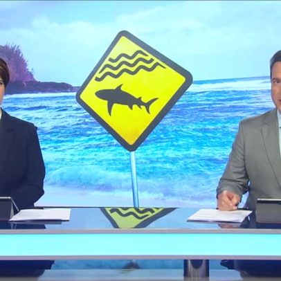 Por que ocorrem ataques de tubarão no litoral de Pernambuco