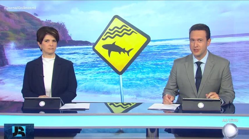 Entenda por que é comum ataques de tubarão no litoral de Pernambuco