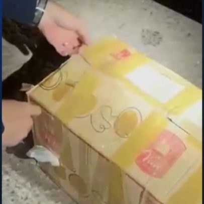 PRF apreende carga de rebite, droga usada por caminhoneiros para inibir o sono