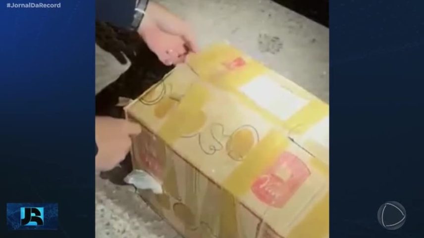 PRF apreende carga de 'rebite', droga usada por caminhoneiros para inibir o sono