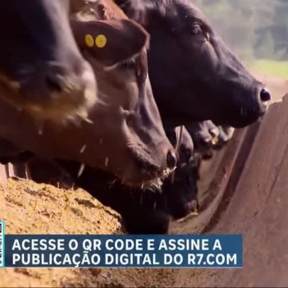 UE oficializa veto à importação de carnes brasileiras a partir de setembro