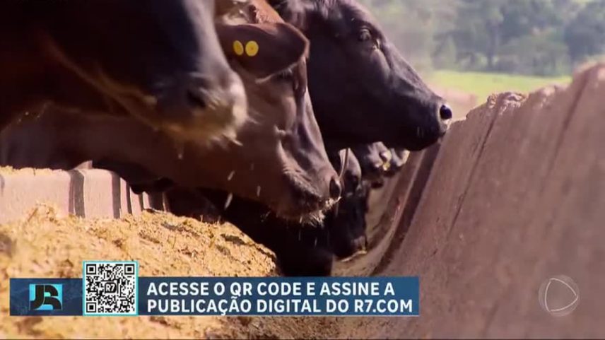 União Europeia oficializa veto à importação de carnes do Brasil a partir de setembro