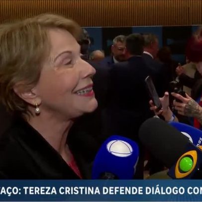 Senadora Tereza Cristina defende negociação do Brasil com EUA sobre tarifas