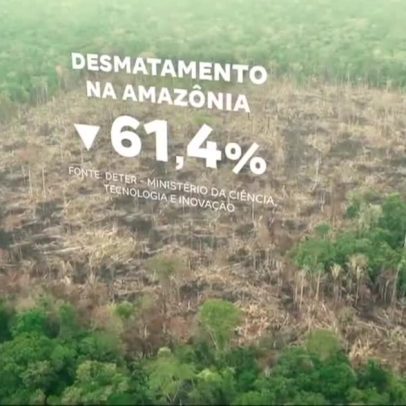 Desmatamento na Amazônia e no Cerrado cai, aponta estudo do Inpe