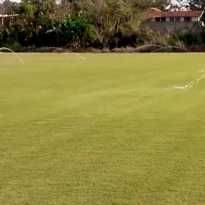 Fazenda no interior de São Paulo cultiva grama para estádios modernos do futebol