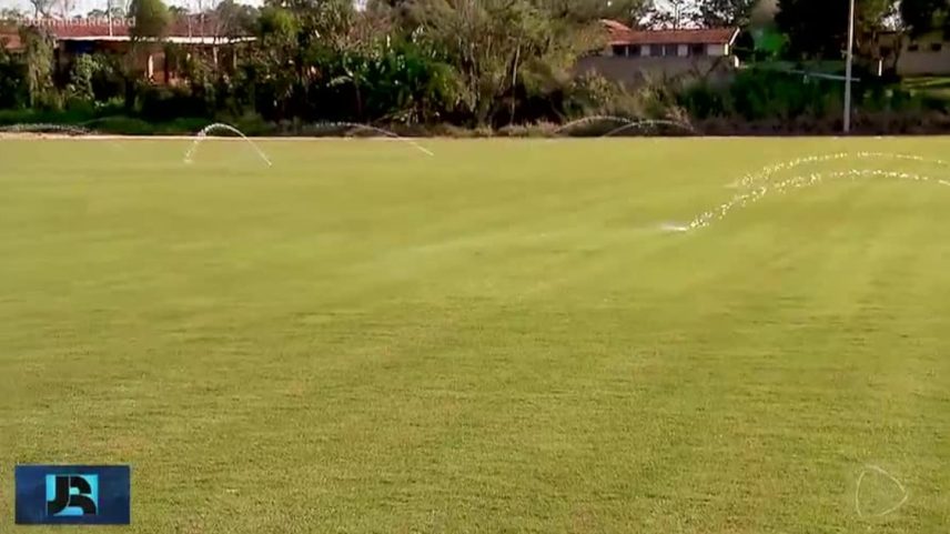 Fazenda no interior de São Paulo cultiva grama para estádios modernos do futebol