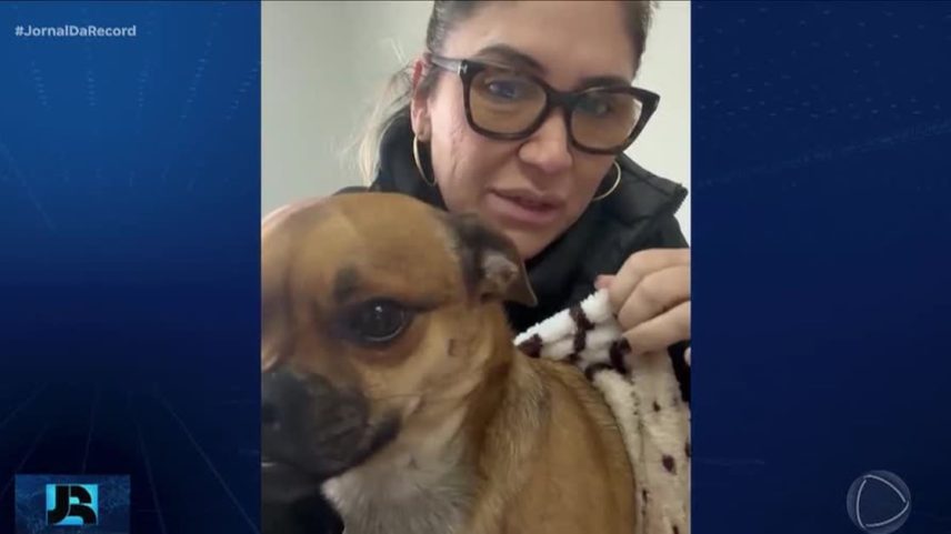 Mulher que fazia campanhas de proteção a animais é presa acusada de matar cães e gatos abandonados