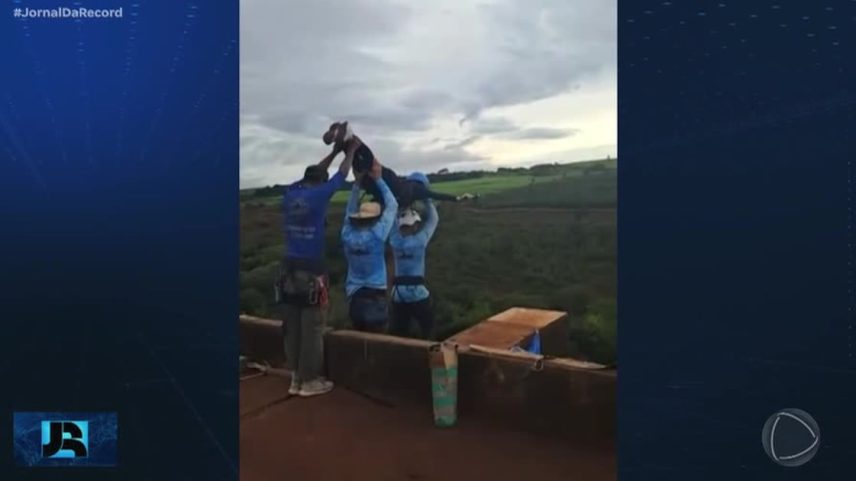 Ponte do Esqueleto, no interior de SP, pode ser demolida após morte de jovem em salto de rope jump