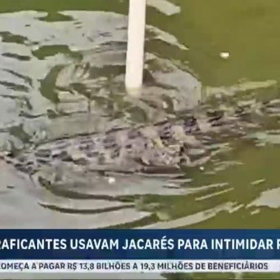 Traficantes usavam jacarés para intimidar dentro de facções no RJ