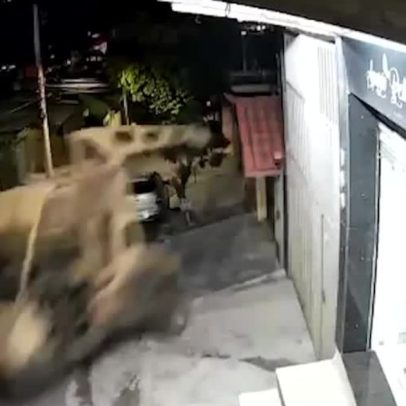 Guindaste desgovernado atinge casa e carro em Belo Horizonte
