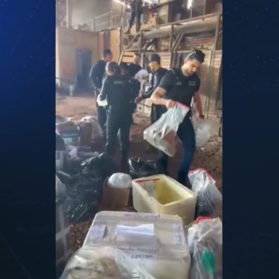 PF combate garimpo ilegal no Amapá e incinera 300 kg de drogas