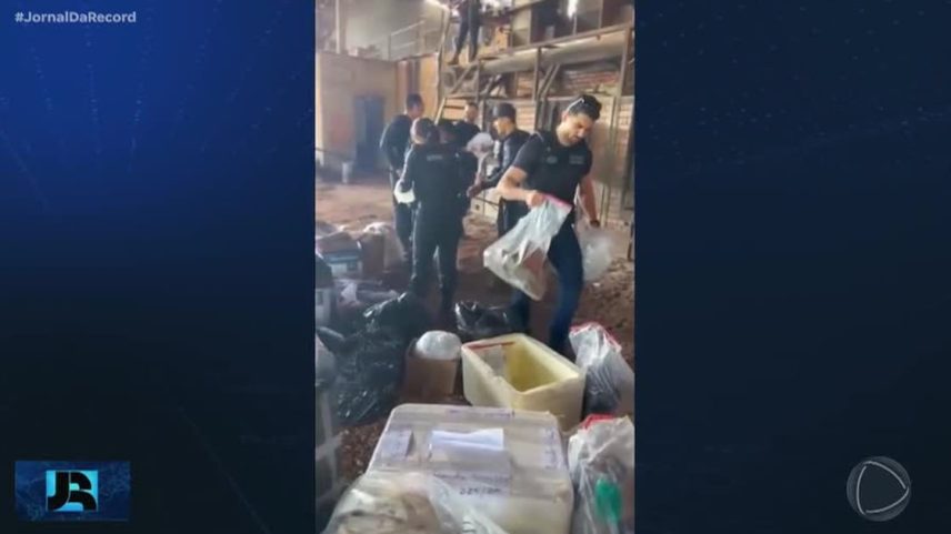 PF combate garimpo ilegal no Amapá e polícia incinera 300 kg de drogas apreendidas