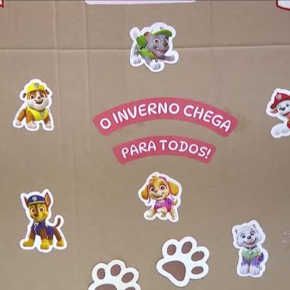 OAB de MG lança campanha de doações para proteger animais do frio