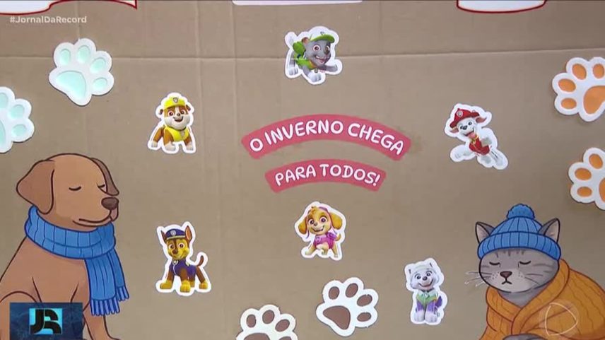 OAB organiza campanha de doações de itens para proteger animais contra o frio em MG