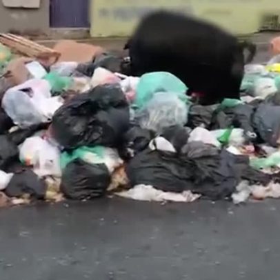 Prefeitura de Salvador e garis fecham acordo sobre horas extras nas festas juninas